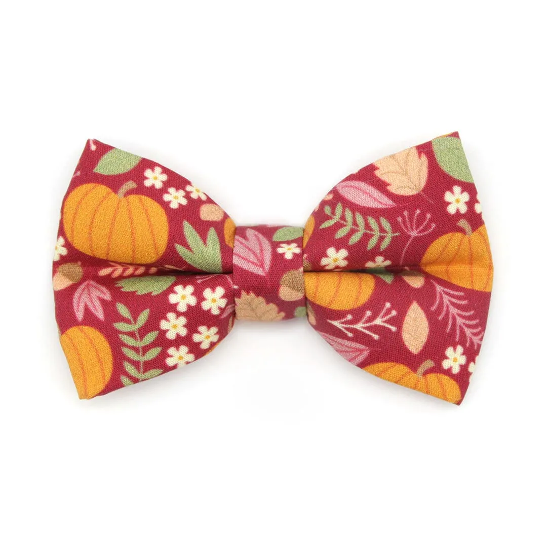 Pet Bow Tie - "Pumpkin Patch - Cranberry" - Burgundy Autumn Harvest Cat Bow / Fall   Thanksgiving / For Cats   Small Dogs (One Size)