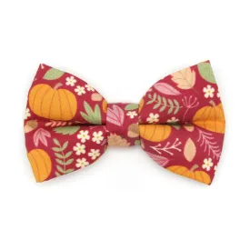 Pet Bow Tie - "Pumpkin Patch - Cranberry" - Burgundy Autumn Harvest Cat Bow / Fall   Thanksgiving / For Cats   Small Dogs (One Size)