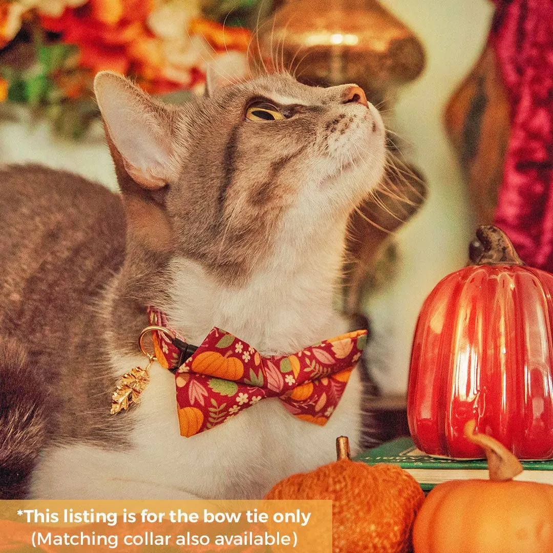 Pet Bow Tie - "Pumpkin Patch - Cranberry" - Burgundy Autumn Harvest Cat Bow / Fall   Thanksgiving / For Cats   Small Dogs (One Size)