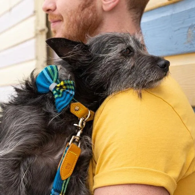 Shuka Blue Dog Bow Tie