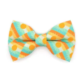 Sun Cat Bow Tie - "Sunrise" - Boho Retro Sunset Yellow Bow Tie for Cat / Desert, California, Sun Lover, Summer / Cat   Small Dog Bowtie