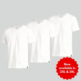 Zone 100% Cotton V-Neck T-Shirt (Tri-Pack) (Copy)
