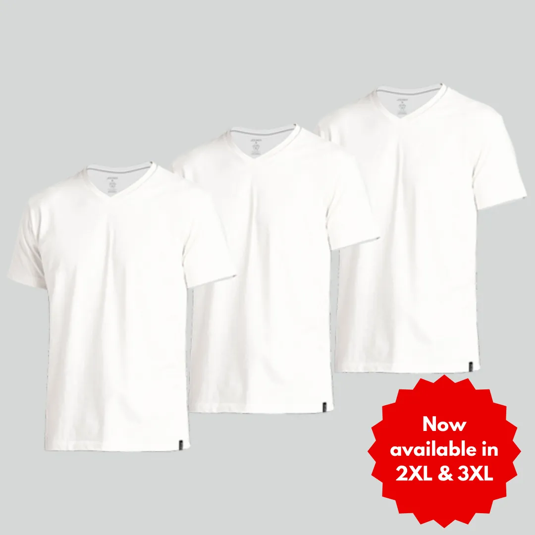 Zone 100% Cotton V-Neck T-Shirt (Tri-Pack) (Copy)